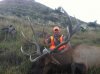 2015 ND Elk.jpg