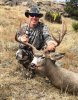 mule deer.jpg