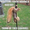 Squirrel.jpg