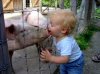 girl kissing a pig.jpg