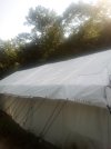 tent one.jpg