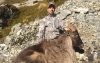 Tahr6_01.JPG