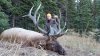 2015 Elk.jpg