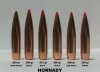 HORNADY ELDX bullets.jpg