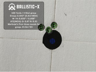 Ballistic-X-Export-2023-10-21 14:52:56.841876.jpg
