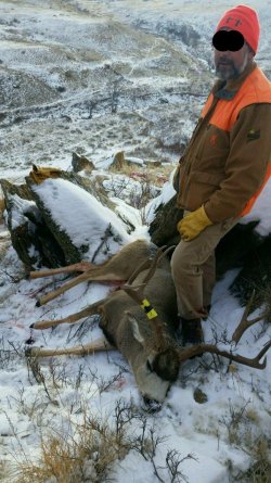 hunting johns mule deer.jpg