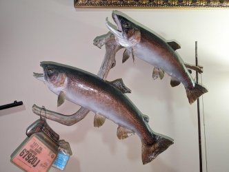 REAL TROUT MOUNTS.jpg