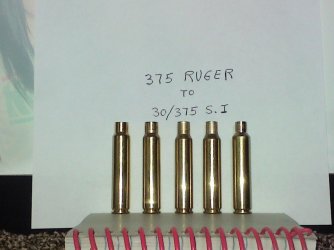 30:375 S.I. from 375 Ruger.jpg