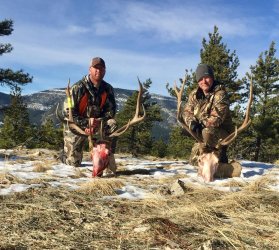 Montana Elk Public Land 2016.jpg