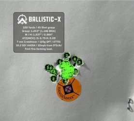 Ballistic-X-Export-2024-03-05 15:50:49.444343.jpg