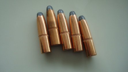 7mm 165gr 001.JPG