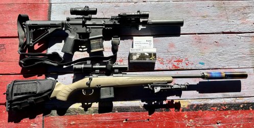 rifles 300 BLK.jpg