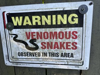 Dangerous snakes.JPG