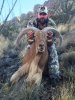 aoudad picture.jpg
