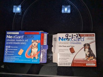 NexGard for Dogs.jpg