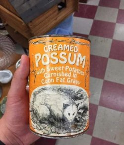 creamed opossum.jpg