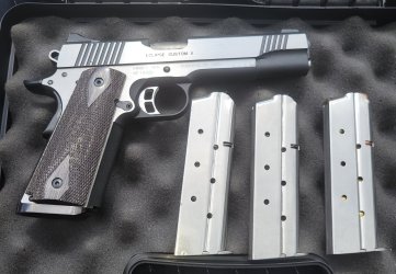 Kimber V3.jpg