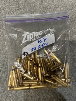 22-250 brass (R-P).jpg