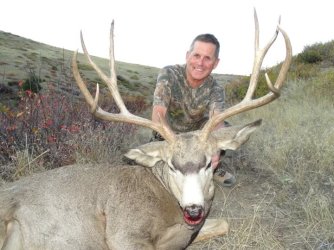 Mule Deer.jpg