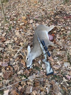 28 Nosler buck 2.jpeg