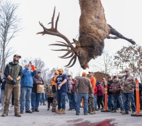 Elk-hunt005-1100x744.jpg