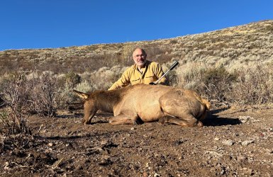 2024 cow elk 550 yards 284 win.jpg