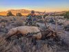 Nevada_Bull_Elk.jpg