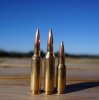 Is the 6.5 Grendel a True Long Range Hunting Cartridge?