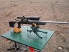 Shooting A 223 Rifle To A Mile Accurately