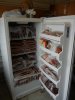 Freezer-1.JPG