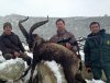 Ibex Hunting In Spain