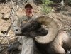 10 Year Old Ram On The 10th Day Of A 10 Day Hunt