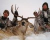 tips-success-high-country-mule-deer-hunting-002.jpg
