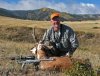 How To Hunt Antelope