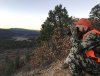 OTC Bull Elk, Public Land, CO 2nd Rifle Season 2017 – My Story