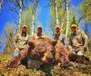 Wyoming Spring Bear Hunt