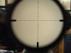 TMR Reticle.jpg