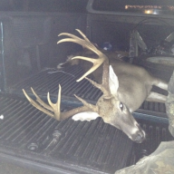 Southeast Idaho Mulie Stag | Long Range Hunting Forum