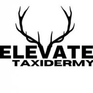 elevaredtaxidermy